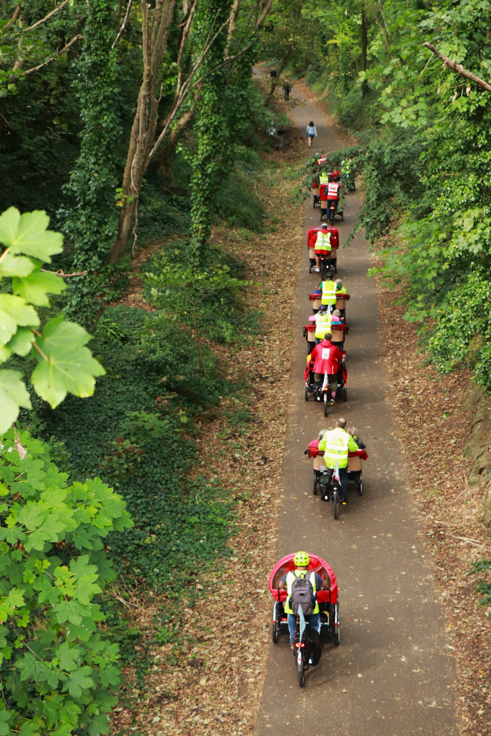 An aerial view of several trishaws riding along a leafy forest path